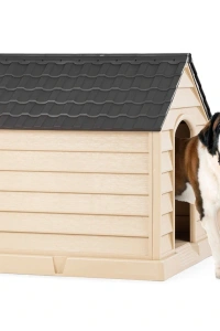 Büyük Köpek Kulübesi