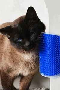 Cat It Kedi Kaşınma Aparatı