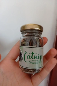 Catnip Doğal Kedi Otu - Kedi Nanesi