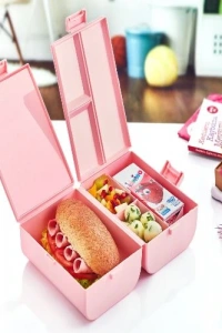 Çift Kapaklı Bölmeli Beslenme Kabı