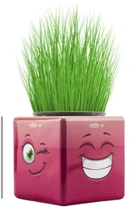 Çim Adam Mini Küp Emoji Figürlü 1 Adet