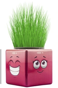 Çim Adam Mini Küp Emoji Figürlü 1 Adet