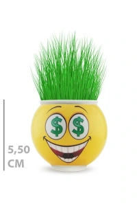 Çim Adam Saksı Emoji Figürlü 1 Adet