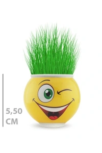 Çim Adam Saksı Emoji Figürlü 1 Adet