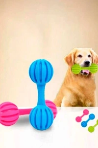 Çıngıraklı Evcil Hayvan Oyuncağı