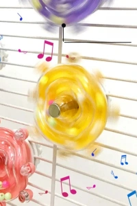 Çıngıraklı Kuş Kafesi İçin Çark Oyuncağı