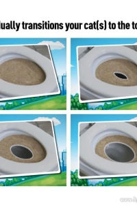 CitiKitty Kedi Tuvalet Eğitim Seti