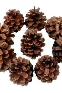 Dekoratif Çam Kozalak Süs - 250gr -