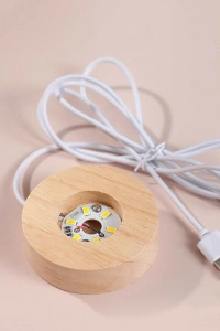 Deniz Anası Tasarımlı Işıklı Cam Küre - Ahşap Standlı - USB Gece Lambası