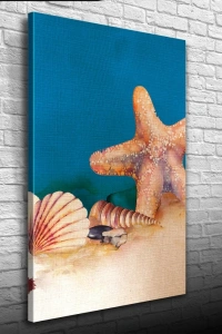 Deniz Yıldızı ve İstiridye Kanvas Tablo 50 x 70