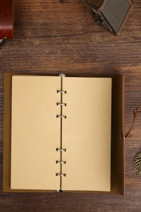 Deri Yaprak Desenli Çizgisiz Defter