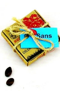 Dilek Tohumları - Şans