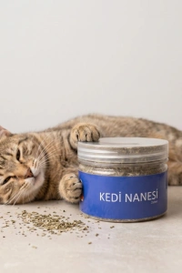 Doğal Kedi Nanesi (Catnip) - 250 ml Kavanoz - Eğlenceli ve Doğal