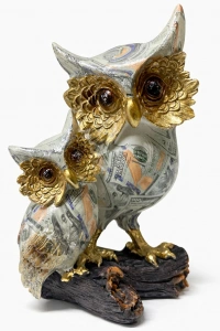 Dolar Baskılı Özel Tasarım İkili Polyester Baykuş