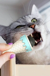 Dondurma Şeklinde Kedi Otu Nanesi