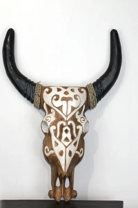 Duvara Asmalı Bufalo Kafası