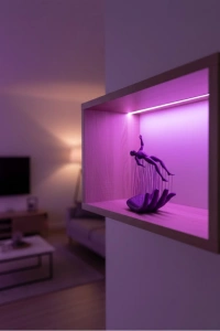 EL İNSAN FİGÜRÜ MOR