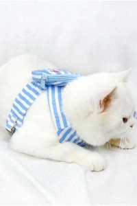 Evcil Hayvan Çantalı Göğüs Gezdirme Tasması Seti