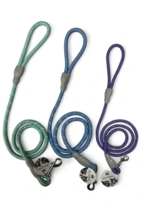 Evcil Hayvan Fitil Gezdirme Tasması 10 mm x 120 cm