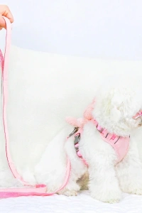 Evcil Hayvan Peluş Ayıcıklı Göğüs Gezdirme Tasması Set