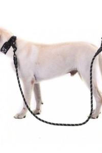 Evcil Hayvan Reflektörlü Fitil Gezdirme Tasması 12 mm x 120 cm