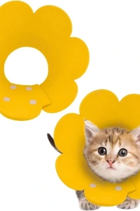 Evcil Hayvan S Boy Keçe Elizabeth Yakalığı