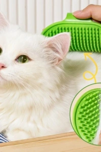 Evcil Hayvan Silikon Tüy Toplama Yıkama Fırçası