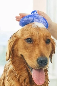 Evcil Hayvan Silikon Tüy Toplama Yıkama Fırçası