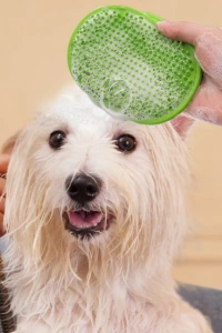 Evcil Hayvan Silikon Tüy Toplama Yıkama Fırçası
