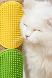 Evcil Hayvan Silikon Tüy Toplama Yıkama Fırçası