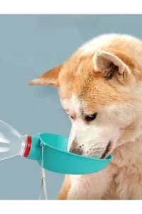 Evcil Hayvan Takılabilir Suluk Başlığı