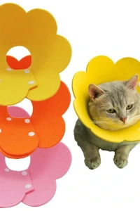 Evcil Hayvan XL Boy Keçe Elizabeth Yakalığı