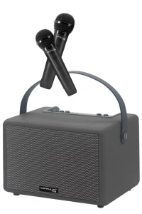 F31 50W Sürücülü 2 Adet Mikrofonlu BT 5.2 Kablosuz Hoparlör - Siyah