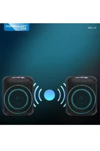 F39 25W Sürücülü RGB Işıklı 2 Adet Mikrofonlu Bluetooth 5.3 Kablosuz Hoparlör – Siyah