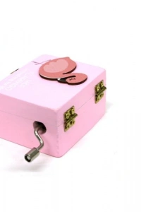 Flamingo Müzik Kutusu