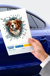 Fulcar Australian Shepherd Araç Stickerı