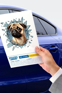 Fulcar French Bulldog Araç Stickerı