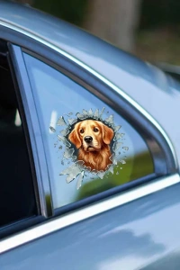 Fulcar Golden Araç Stickerı