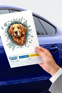 Fulcar Golden Araç Stickerı