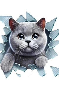 Fulcar Kedi Tasarımlı Araç Stickerı