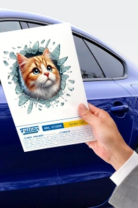 Fulcar Sarman Araç Stickerı