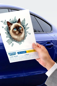 Fulcar Siamesse Araç Stickerı