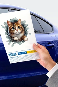 Fulcar Stray Araç Stickerı