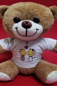 Gelin Damat Tasarım Tişörtlü Sevimli Ayıcık