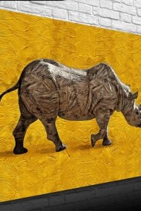 Gergedan , Arka Fon Turuncu Kanvas Tablo 50 x 70