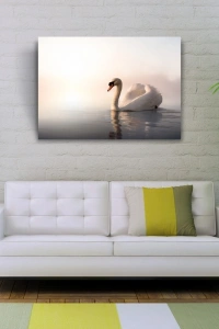 Göldeki Kuğu Kanvas Tablo 50 x 70