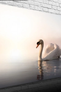 Göldeki Kuğu Kanvas Tablo 50 x 70