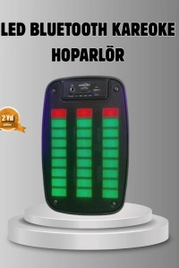GTS 1793 Işıklı 6.5 İnç Kablosuz Hoparlör Bluetooth, USB ve FM Özellikli