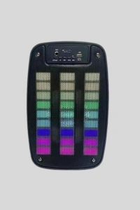 GTS 1793 Kablosuz Bluetooth Hoparlör 6.5 İnç Işıklı ve Güçlü Bass