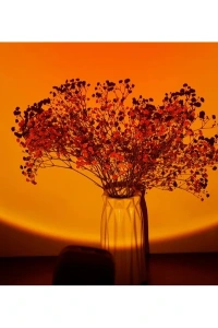 Gün Batımı Lambalı Hava Nemlendiricisi